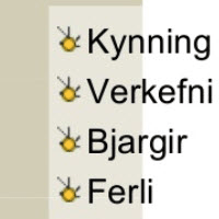 Vefleiðangrar